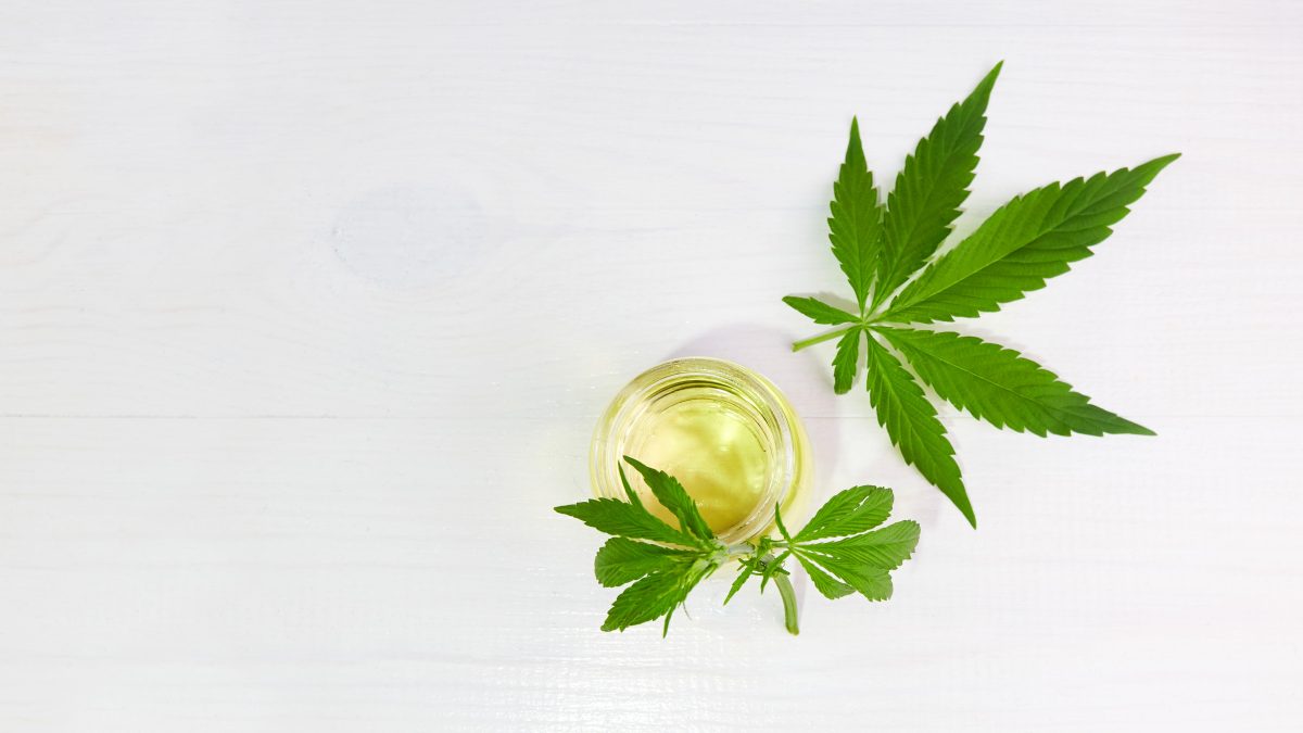 feuille cannabis